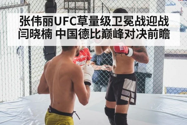 张伟丽UFC草量级卫冕战迎战闫晓楠 中国德比巅峰对决前瞻
